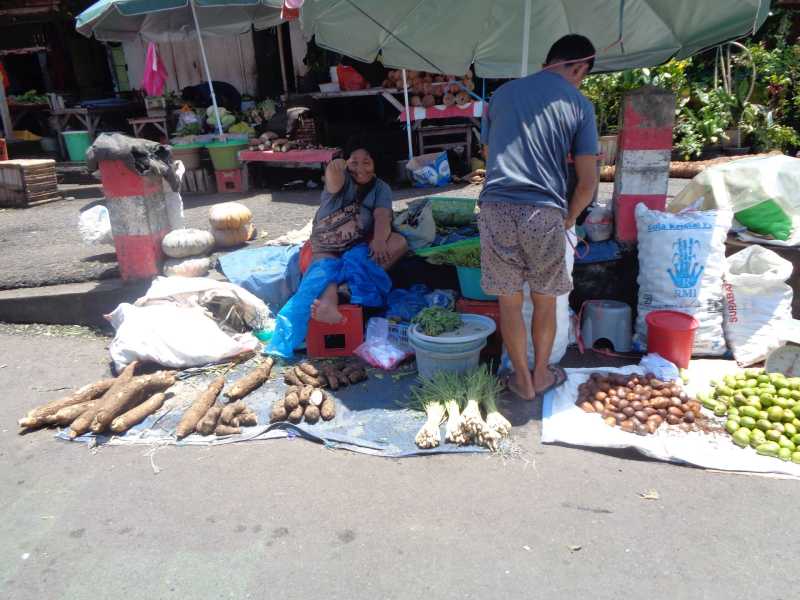 Восточная Индонезия (Молукки – Сулавеси – Флорес)