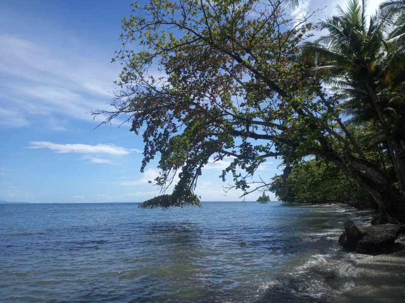 Восточная Индонезия (Молукки – Сулавеси – Флорес)