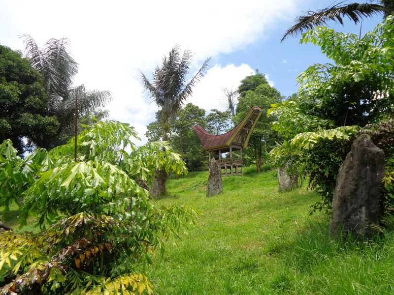 Восточная Индонезия (Молукки – Сулавеси – Флорес)