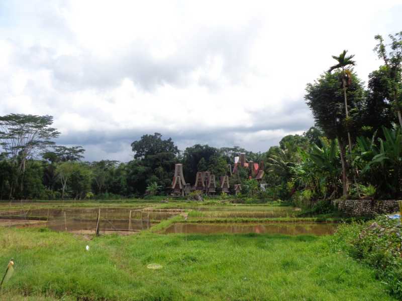 Восточная Индонезия (Молукки – Сулавеси – Флорес)