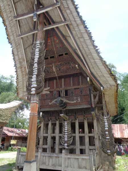 Восточная Индонезия (Молукки – Сулавеси – Флорес)