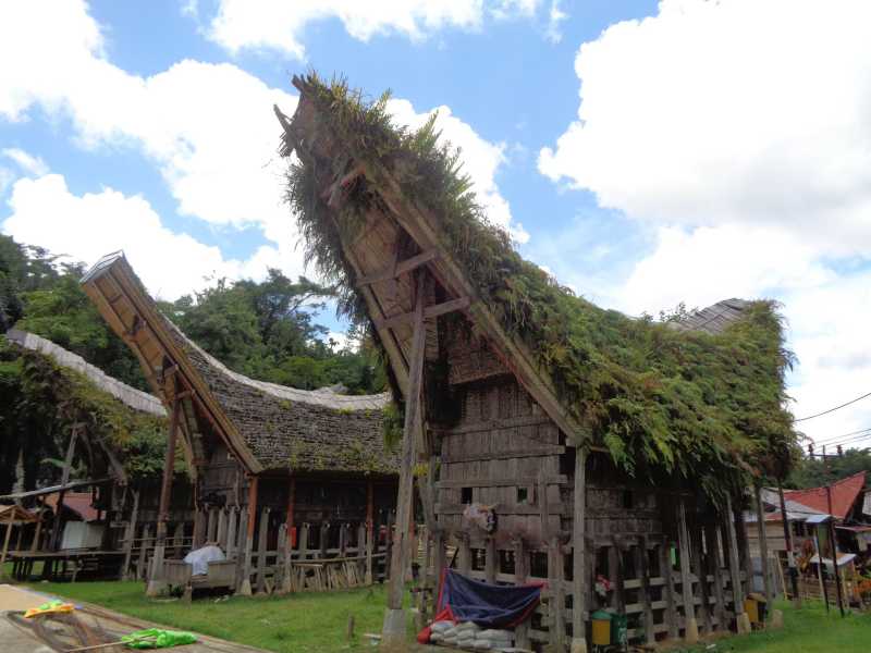 Восточная Индонезия (Молукки – Сулавеси – Флорес)