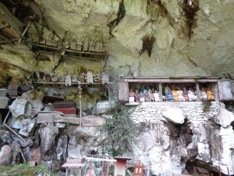 Восточная Индонезия (Молукки – Сулавеси – Флорес)