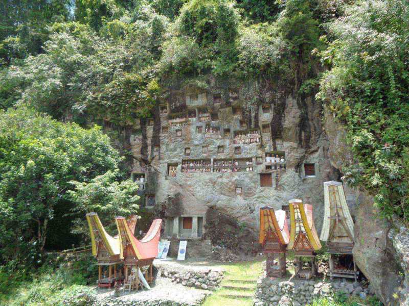 Восточная Индонезия (Молукки – Сулавеси – Флорес)