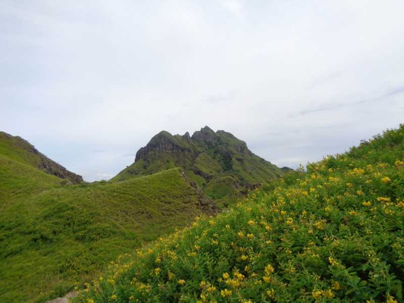 Восточная Индонезия (Молукки – Сулавеси – Флорес)