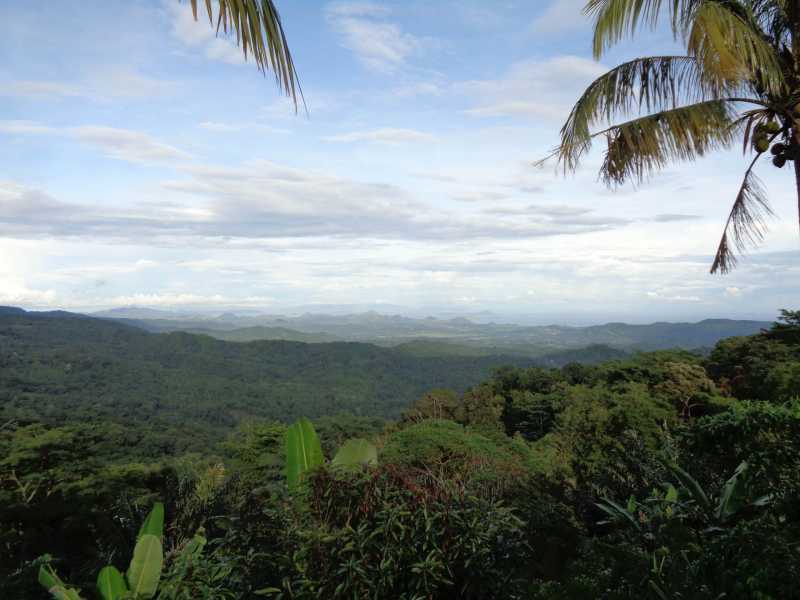 Восточная Индонезия (Молукки – Сулавеси – Флорес)