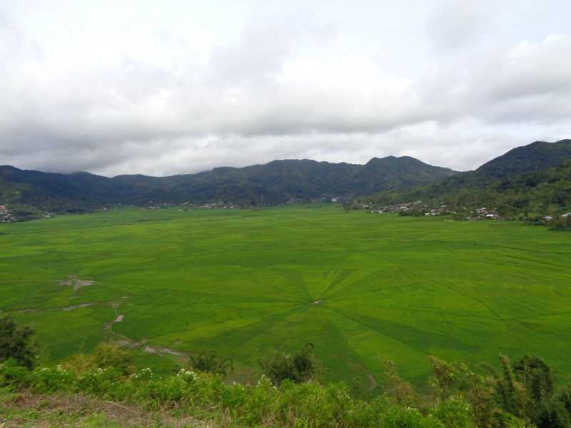 Восточная Индонезия (Молукки – Сулавеси – Флорес)