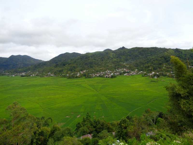 Восточная Индонезия (Молукки – Сулавеси – Флорес)