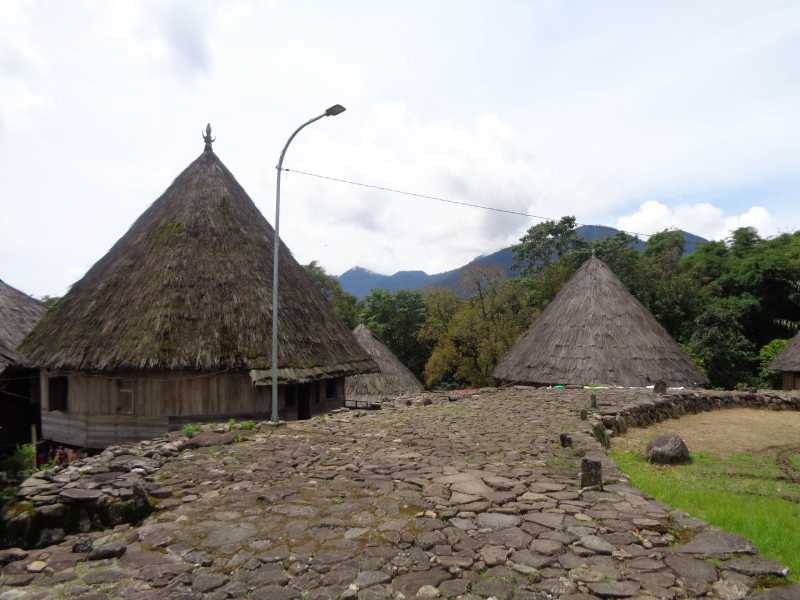Восточная Индонезия (Молукки – Сулавеси – Флорес)