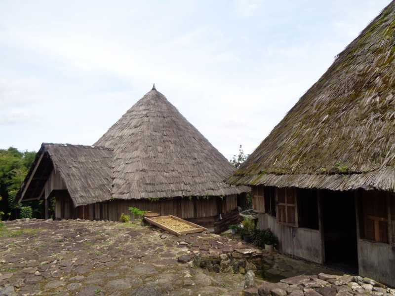 Восточная Индонезия (Молукки – Сулавеси – Флорес)