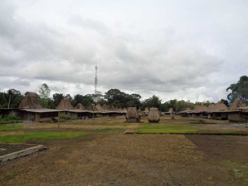 Восточная Индонезия (Молукки – Сулавеси – Флорес)