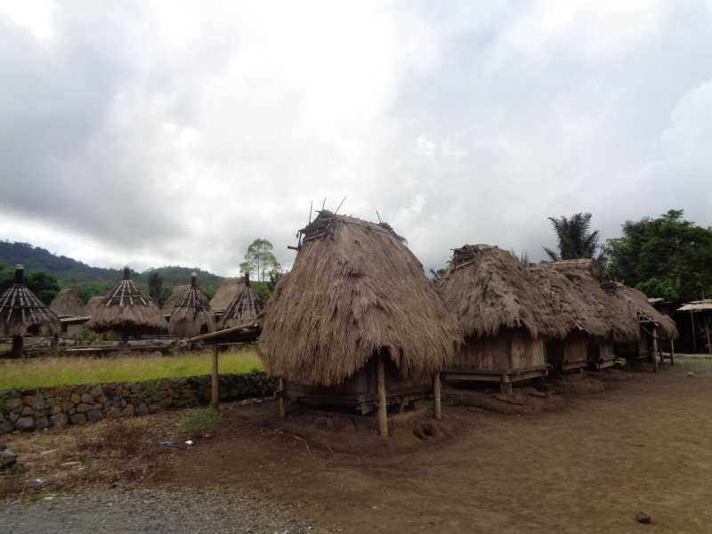 Восточная Индонезия (Молукки – Сулавеси – Флорес)