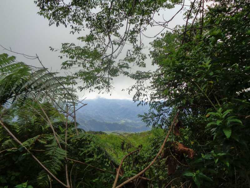 Восточная Индонезия (Молукки – Сулавеси – Флорес)