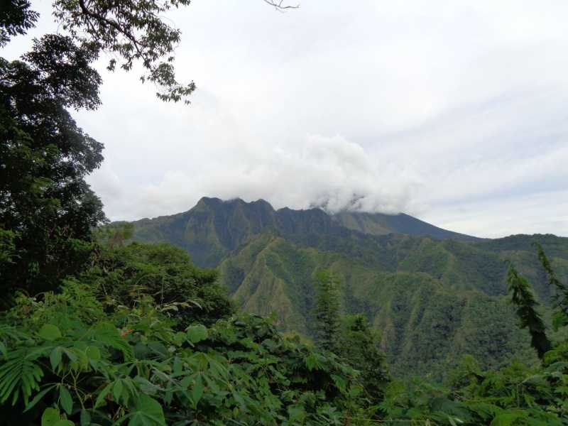 Восточная Индонезия (Молукки – Сулавеси – Флорес)