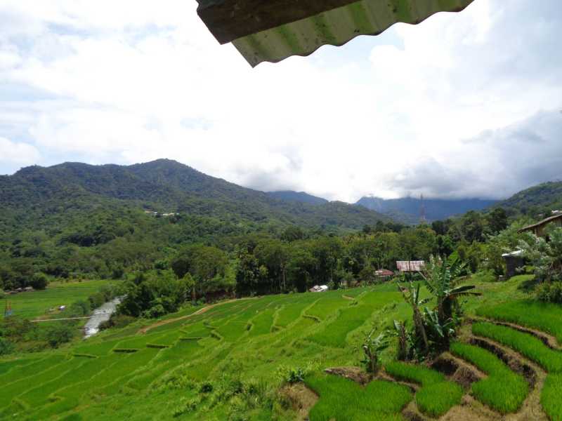 Восточная Индонезия (Молукки – Сулавеси – Флорес)