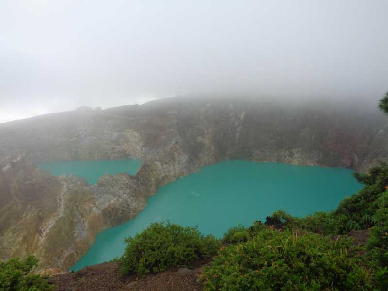 Восточная Индонезия (Молукки – Сулавеси – Флорес)