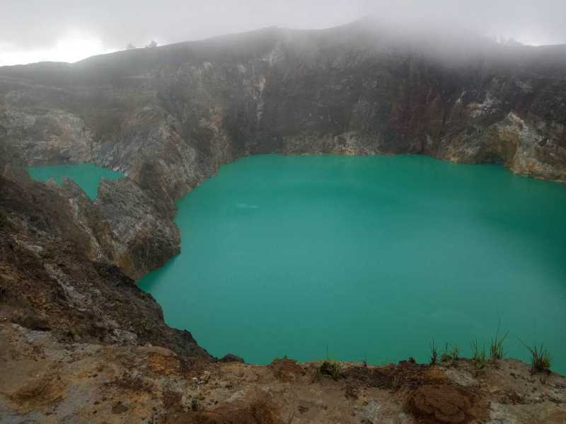 Восточная Индонезия (Молукки – Сулавеси – Флорес)