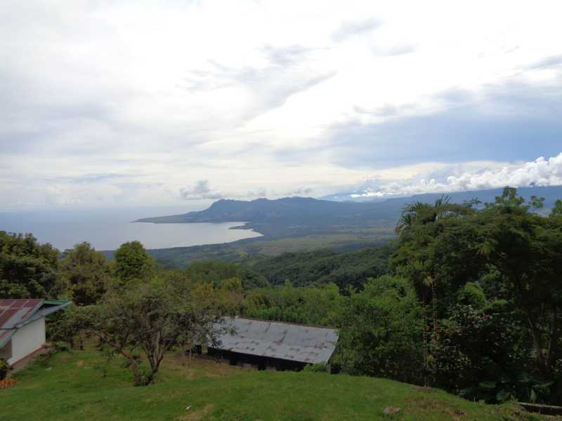 Восточная Индонезия (Молукки – Сулавеси – Флорес)