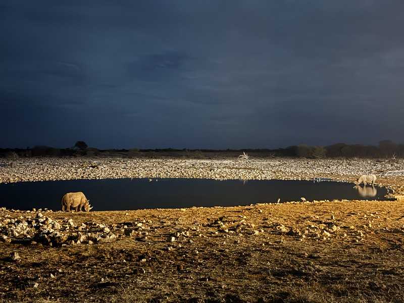 Южно-африканские приключения часть 2 20000 км (Намибия, Ботсвана, Замбия, Малави, Мозамбик) октябрь-декабрь 2025