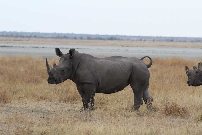 Южно-африканские приключения часть 2 20000 км (Намибия, Ботсвана, Замбия, Малави, Мозамбик) октябрь-декабрь 2025