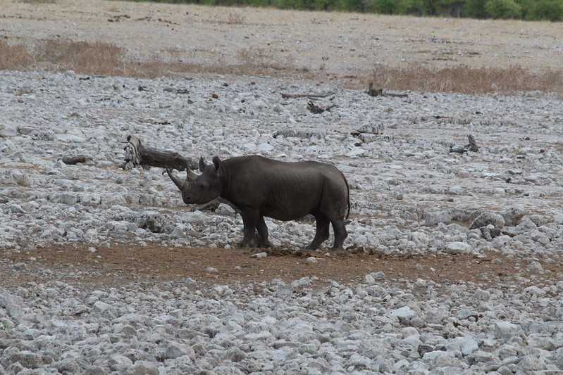 Южно-африканские приключения часть 2 20000 км (Намибия, Ботсвана, Замбия, Малави, Мозамбик) октябрь-декабрь 2025