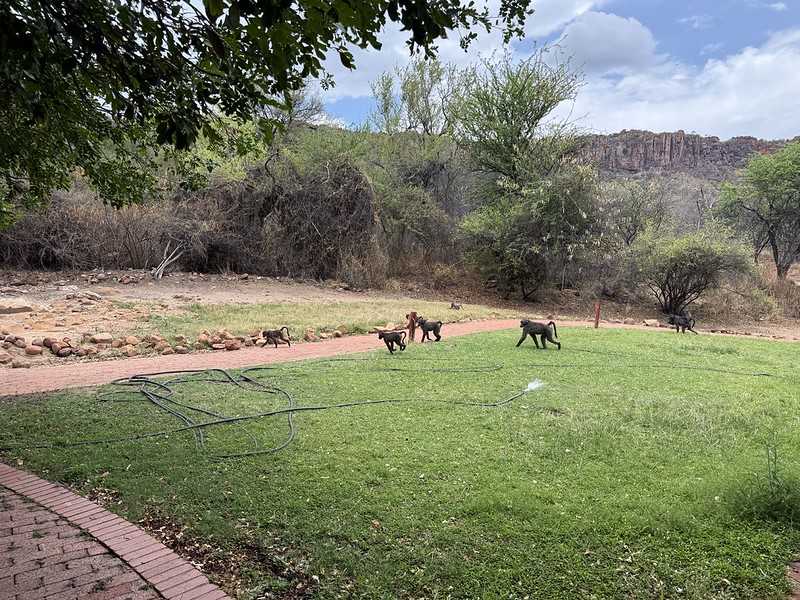 Южно-африканские приключения часть 2 20000 км (Намибия, Ботсвана, Замбия, Малави, Мозамбик) октябрь-декабрь 2025