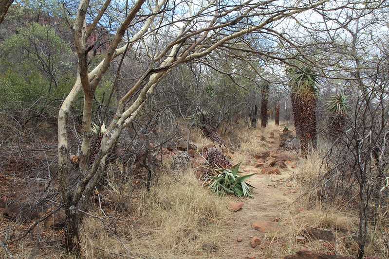 Южно-африканские приключения часть 2 20000 км (Намибия, Ботсвана, Замбия, Малави, Мозамбик) октябрь-декабрь 2025