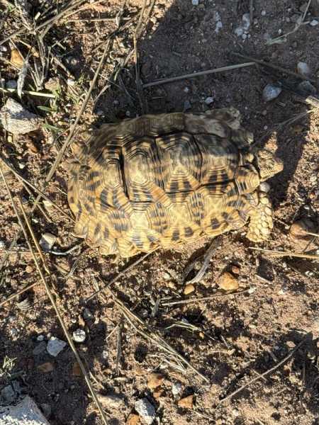 Южно-африканские приключения часть 2 20000 км (Намибия, Ботсвана, Замбия, Малави, Мозамбик) октябрь-декабрь 2025