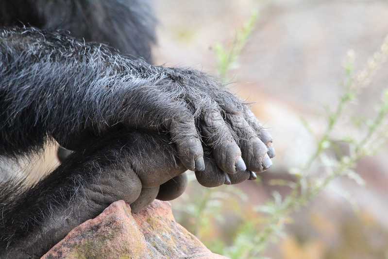 Южно-африканские приключения часть 2 20000 км (Намибия, Ботсвана, Замбия, Малави, Мозамбик) октябрь-декабрь 2025