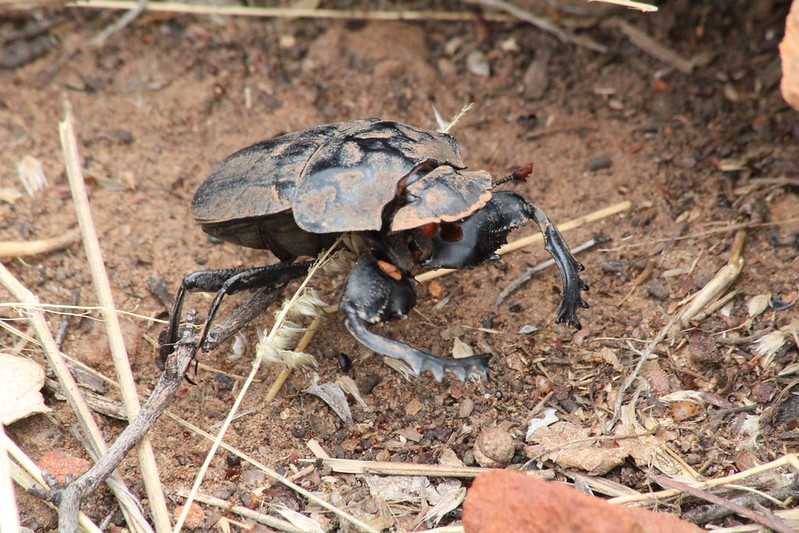 Южно-африканские приключения часть 2 20000 км (Намибия, Ботсвана, Замбия, Малави, Мозамбик) октябрь-декабрь 2025