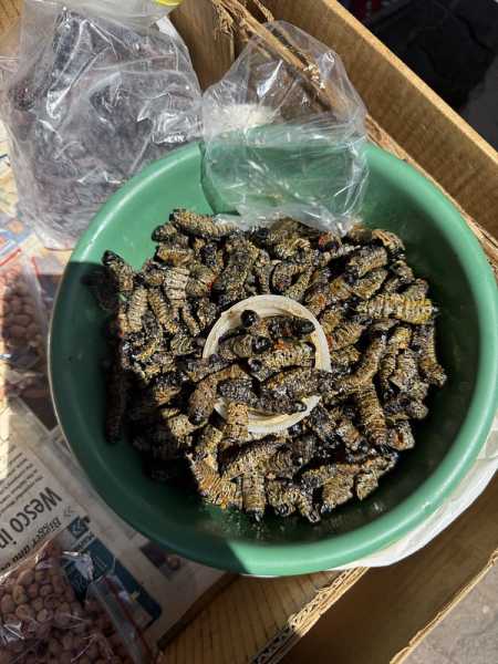 Южно-африканские приключения часть 2 20000 км (Намибия, Ботсвана, Замбия, Малави, Мозамбик) октябрь-декабрь 2025