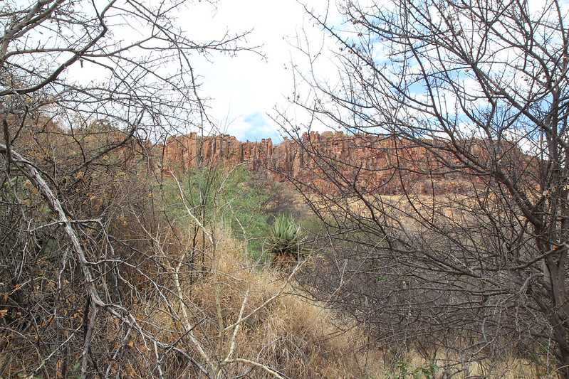 Южно-африканские приключения часть 2 20000 км (Намибия, Ботсвана, Замбия, Малави, Мозамбик) октябрь-декабрь 2025