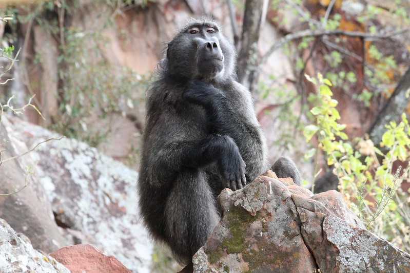 Южно-африканские приключения часть 2 20000 км (Намибия, Ботсвана, Замбия, Малави, Мозамбик) октябрь-декабрь 2025