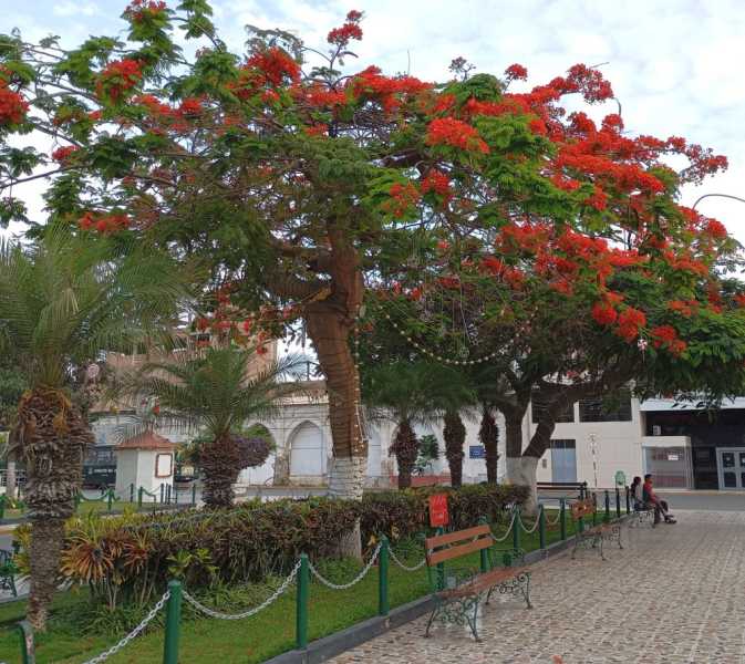 Перу, в натуре! Крайний север, декабрь 2025 – январь 2026