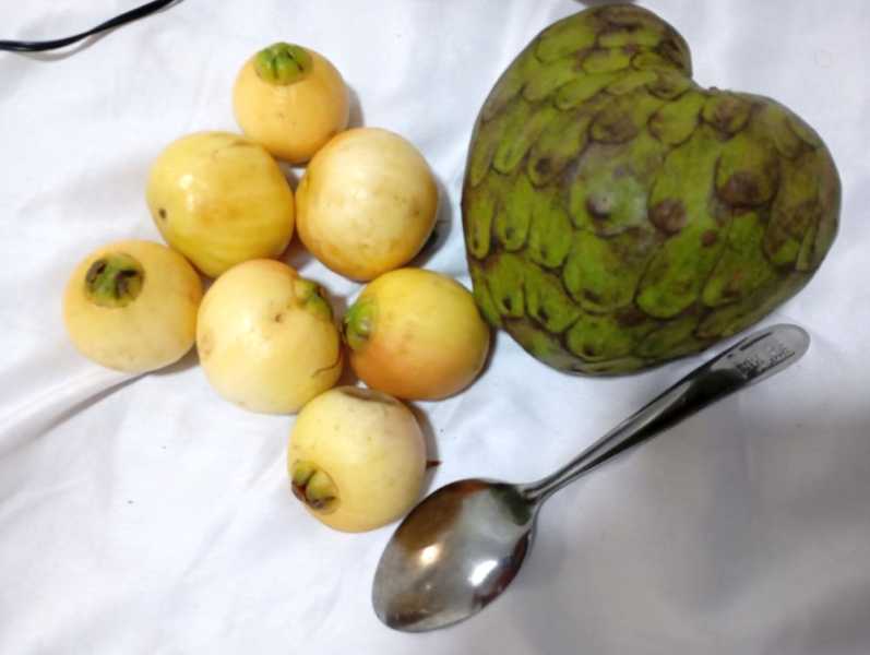 Перу, в натуре! Крайний север, декабрь 2025 – январь 2026