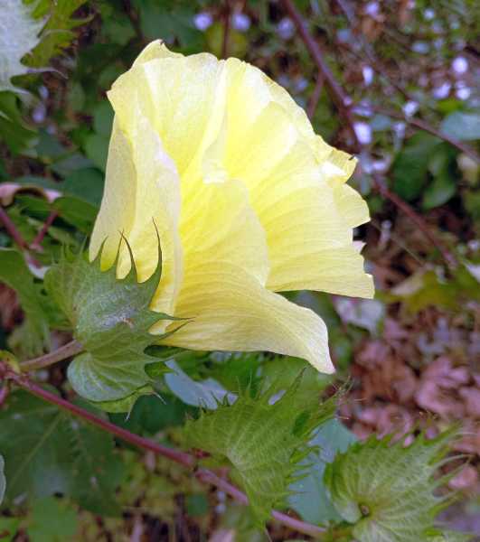 Перу, в натуре! Крайний север, декабрь 2025 – январь 2026