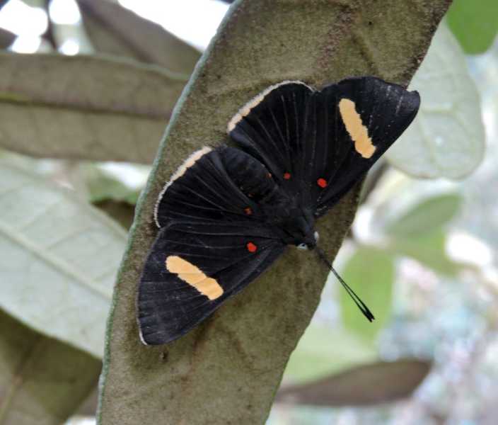 Перу, в натуре! Крайний север, декабрь 2025 – январь 2026