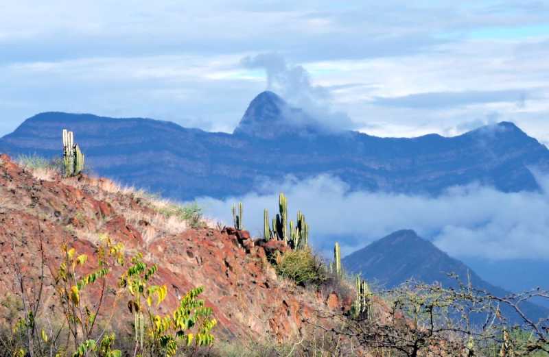 Перу, в натуре! Крайний север, декабрь 2025 – январь 2026