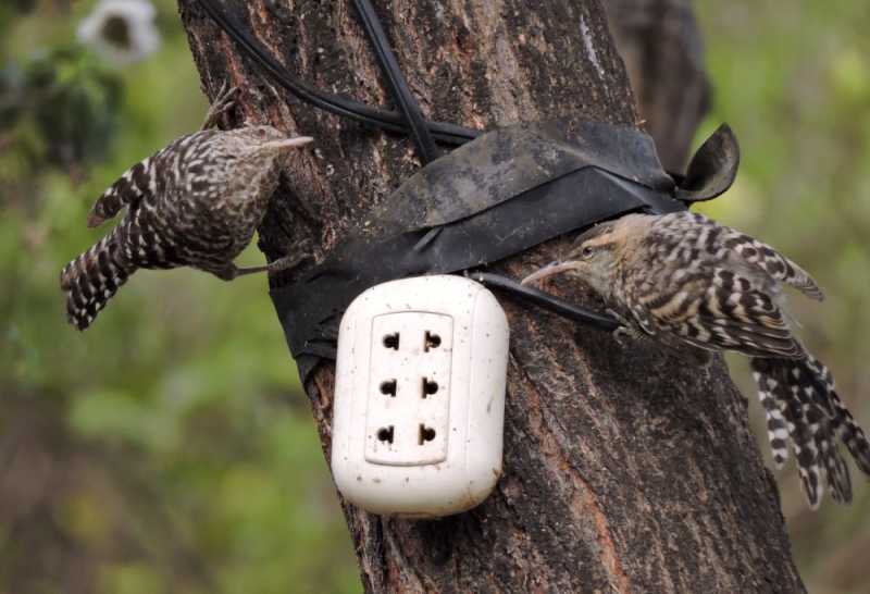 Перу, в натуре! Крайний север, декабрь 2025 – январь 2026