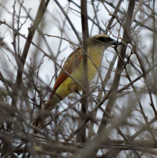 Перу, в натуре! Крайний север, декабрь 2025 – январь 2026