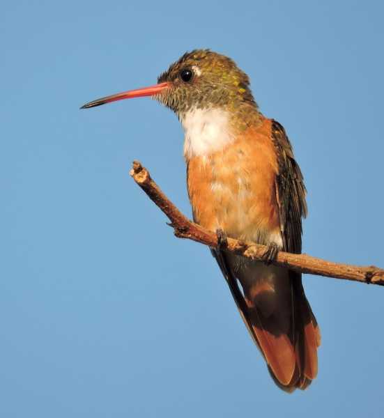 Перу, в натуре! Крайний север, декабрь 2025 – январь 2026