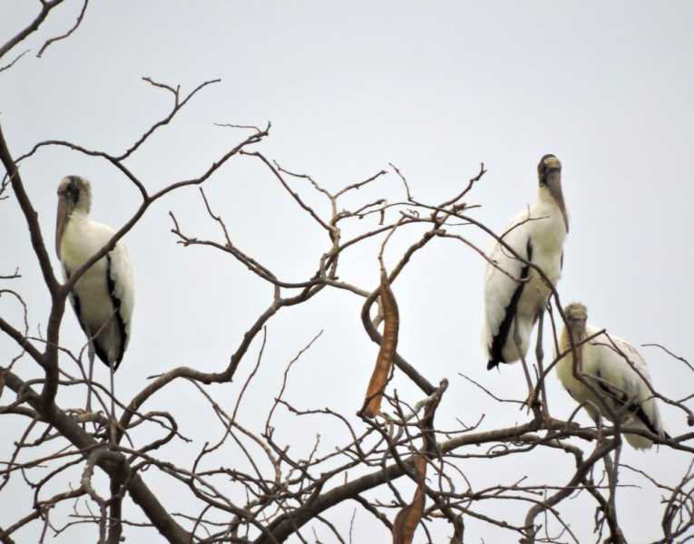 Перу, в натуре! Крайний север, декабрь 2025 – январь 2026