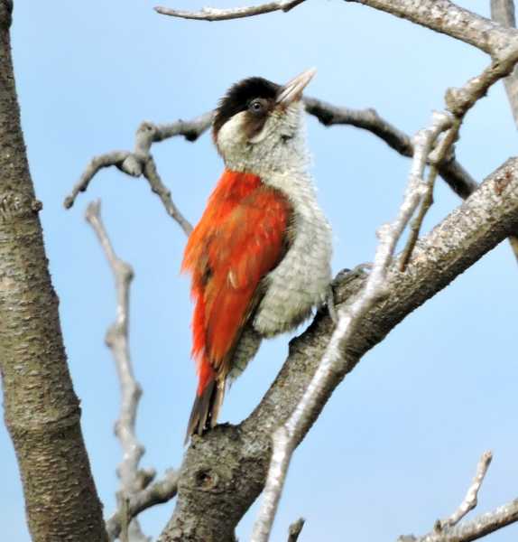 Перу, в натуре! Крайний север, декабрь 2025 – январь 2026