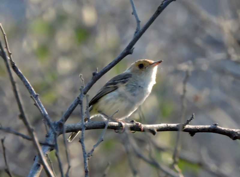 Перу, в натуре! Крайний север, декабрь 2025 – январь 2026