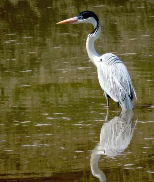 Перу, в натуре! Крайний север, декабрь 2025 – январь 2026