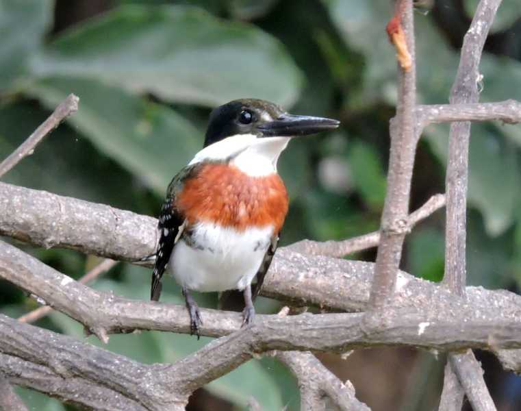 Перу, в натуре! Крайний север, декабрь 2025 – январь 2026