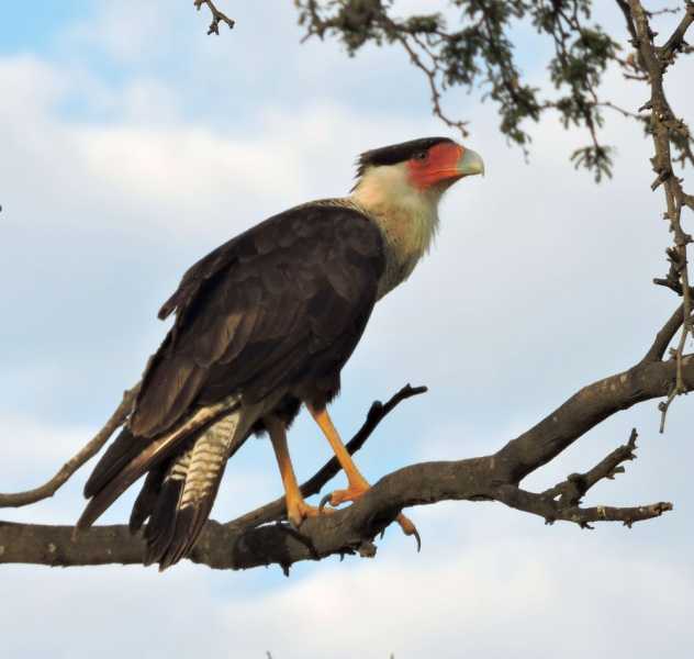 Перу, в натуре! Крайний север, декабрь 2025 – январь 2026