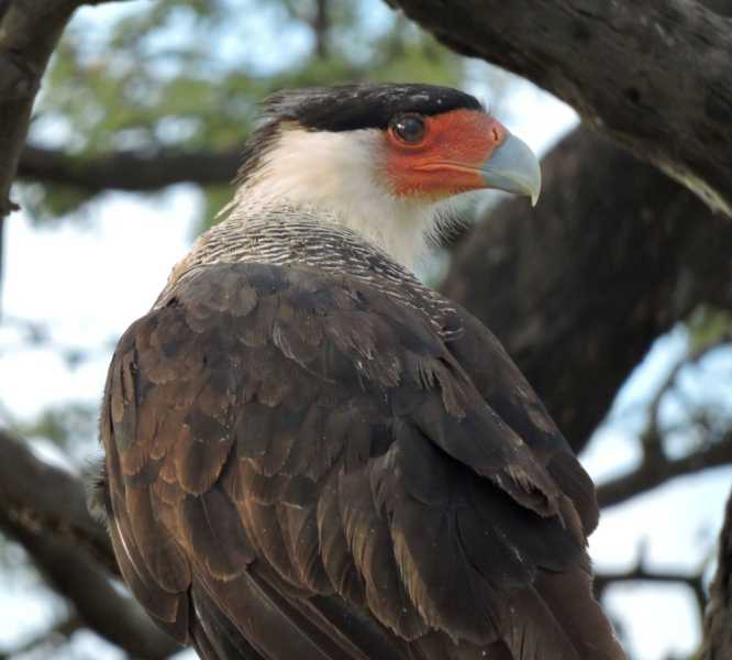 Перу, в натуре! Крайний север, декабрь 2025 – январь 2026