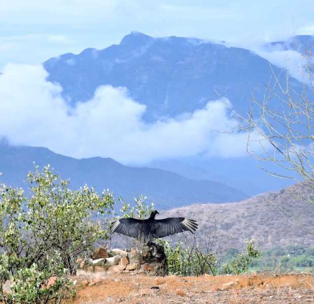 Перу, в натуре! Крайний север, декабрь 2025 – январь 2026