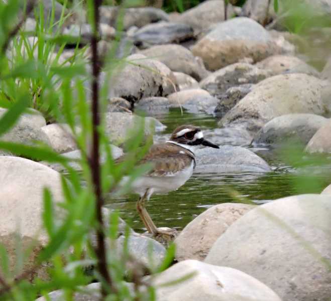 Перу, в натуре! Крайний север, декабрь 2025 – январь 2026